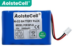 TOP 10-700AAC Medical Battery